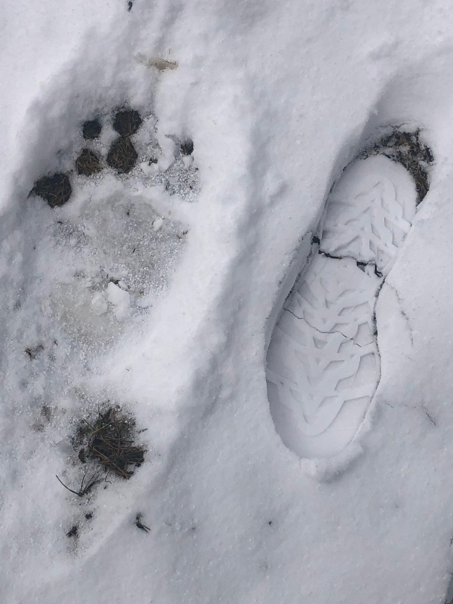 /Maciej Pałahicki /Radio RMF24