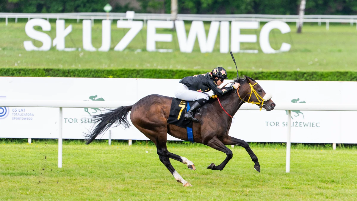 Jak informuje reporter RMF MAXXX Przemek Mzyk - inauguracja sezonu na Torze Wyścigów Konnych Służewiec odbędzie się w niedzielę 24 kwietnia. Tego dnia rozegranych zostanie 8 gonitw.