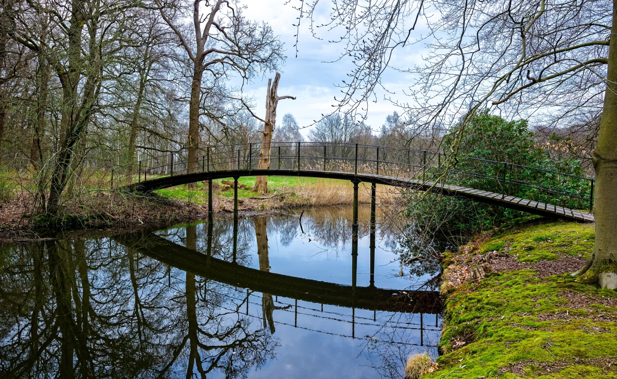 Z wadowickiego budżetu zniknie spora suma pieniędzy w związku z samowolą budowlaną, jaką okazał się most w Rokowie. Powiatowy Inspektor Nadzoru Budowlanego nałożył wysoką grzywnę na Wadowice i nakazał legalizację budowli. Miasto słono za to zapłaci - podaje portal wadowice.24pl.