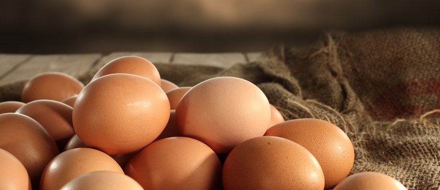 Jajka to prawdziwy skarb natury: zawierają niemal wszystkie kluczowe dla człowieka witaminy i mikroelementy oraz wysokiej jakości białko, tak potrzebne do budowy naszego ciała.