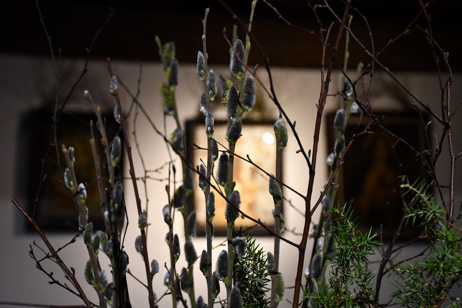 /Muzeum Budownictwa Ludowego w Olsztynku /