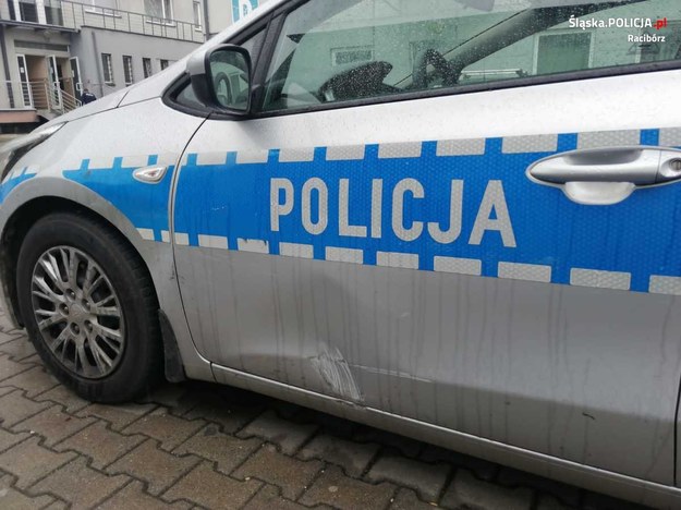 /Śląska policja /Materiały prasowe