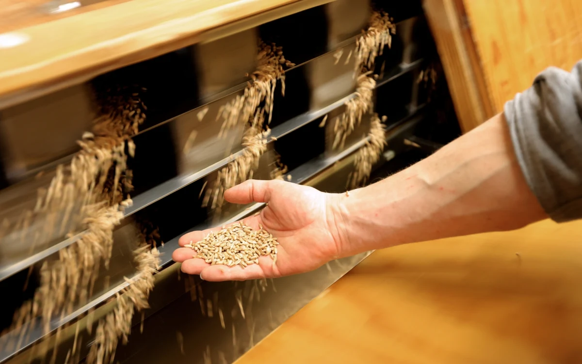 Tunezyjczycy są wśród narodów, które najbardziej odczują skutki wojny w Ukrainie - donosi Washington Post. Według gazety wojna pogłębiła problemy Tunezji; w kraju brakuje chleba, gwałtownie rosną ceny pieczywa, paliwa i nawozów sztucznych.