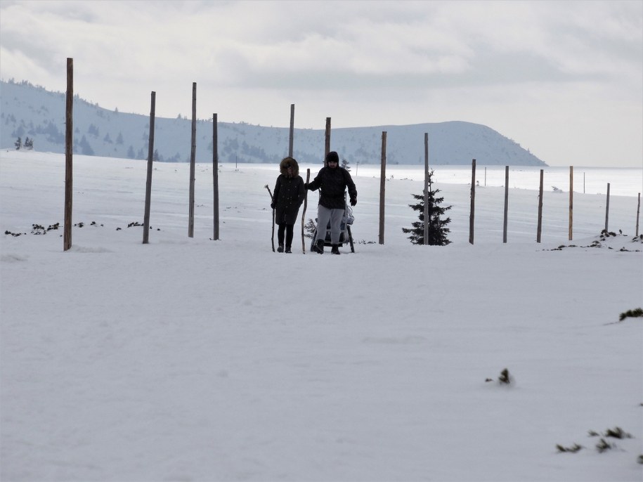/fot. Karkonoski Park Narodowy /Facebook