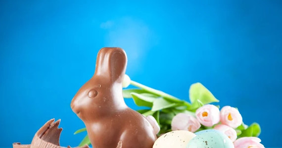 Co roku w poranek Niedzieli Wielkanocnej do dzieci przychodzi zajączek, albo króliczek wielkanocny. Zgodnie ze zwyczajem przynosi on prezenty. Są to głównie słodycze. To tradycja, która przywędrowała do nas z zachodu - podkreślają etnografowie.