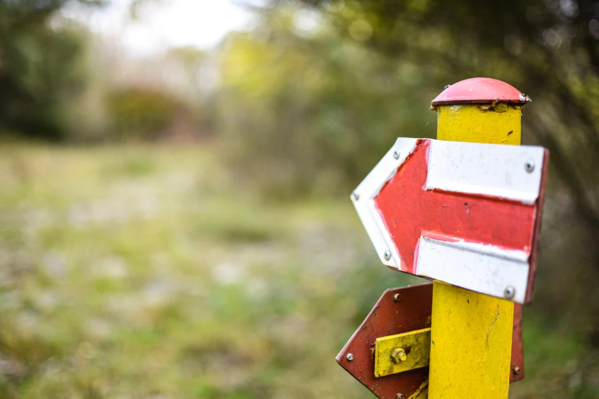 Na szczycie Koziej Góry, wznoszącej się nad Bielskiem-Białą, wybudowana została drewniana altana. Turyści, licznie odwiedzający to miejsce, będą mogli podziwiać z niej okolicę. Stanęła w miejscu, które w przeszłości zajmowała podobna budowla – informuje bielski magistrat.