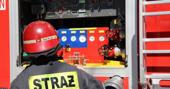 Osiem jednostek straży pożarnej uczestniczy w gaszeniu pożaru, do którego doszło we wtorek na terenie fabryki Krosnopan w Strzelcach Opolskich - poinformował dyżurny KW PSP w Opolu.