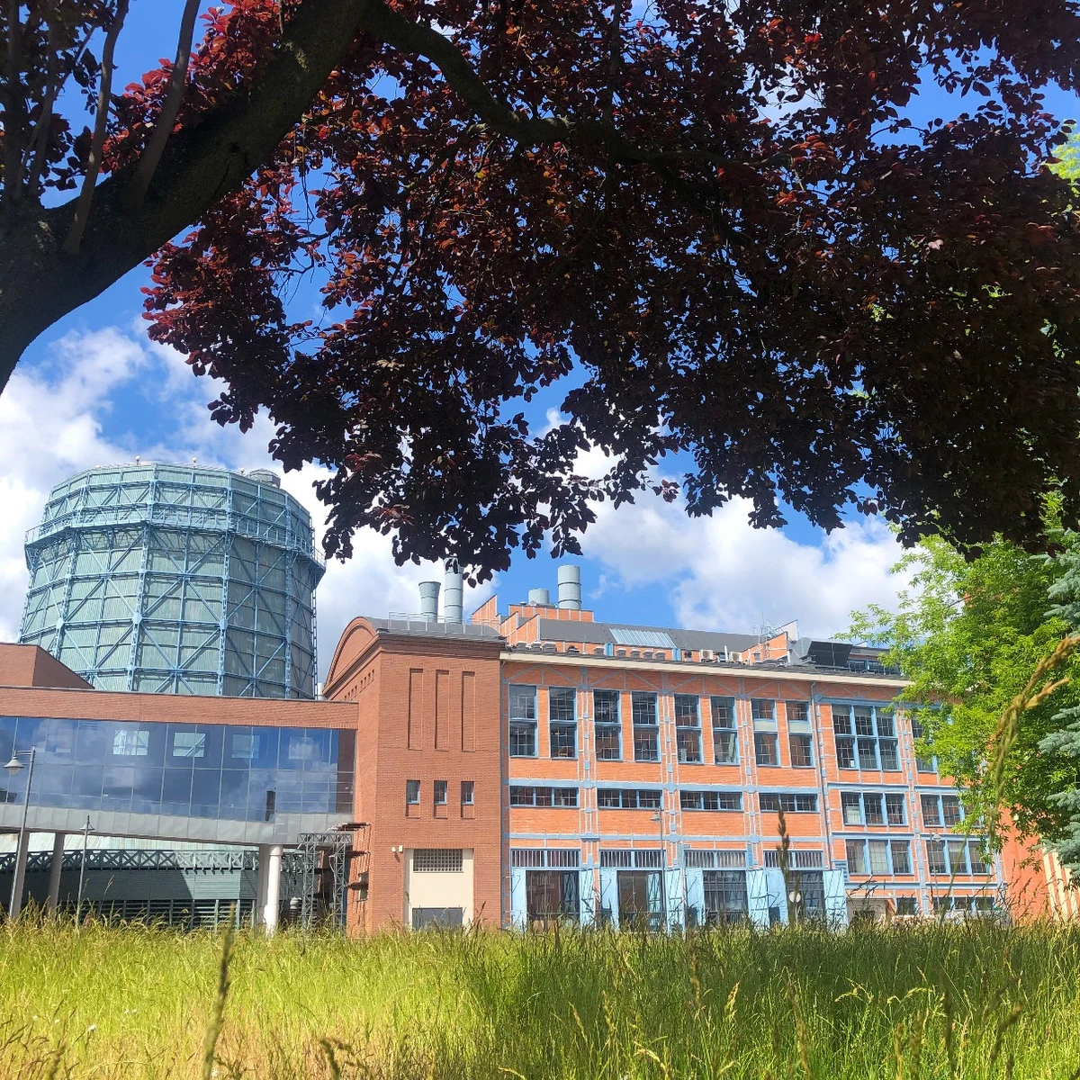 Bomby nasienne powstaną na warsztatach, które odbędą się w sobotę i niedzielę (23 i 24 kwietnia) w EC1 Łódź. Potem takie bomby eksplodują feerią barw, kształtów i zapachów w łąkę kwietną. Jak zapewniają organizatorzy zajęć, będzie zabawnie i mądrze oraz będzie można się bezkarnie pobrudzić.