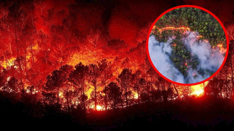 Aż 14 regionów Rosji ogarnęły gigantyczne pożary lasów. Najgorsza sytuacja panuje na Syberii, gdzie w mroku pogrążyło się wiele dużych miast.
