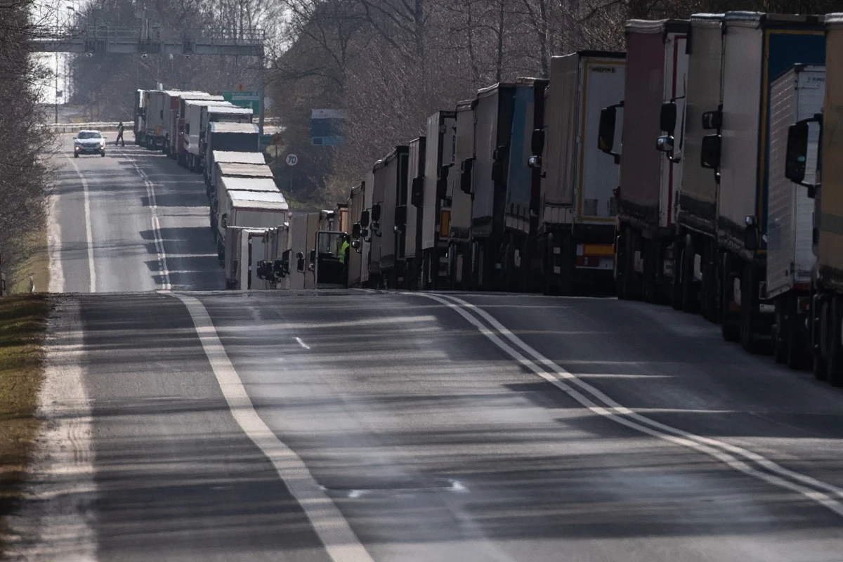 Firmy szkolące zawodowych kierowców od dwóch tygodni nie mogą pracować. Nie działa system informatyczny umożliwiający wydawanie elektronicznego profilu kierowcy zawodowego  - pisze w czwartek "Dziennik Gazeta Prawna".