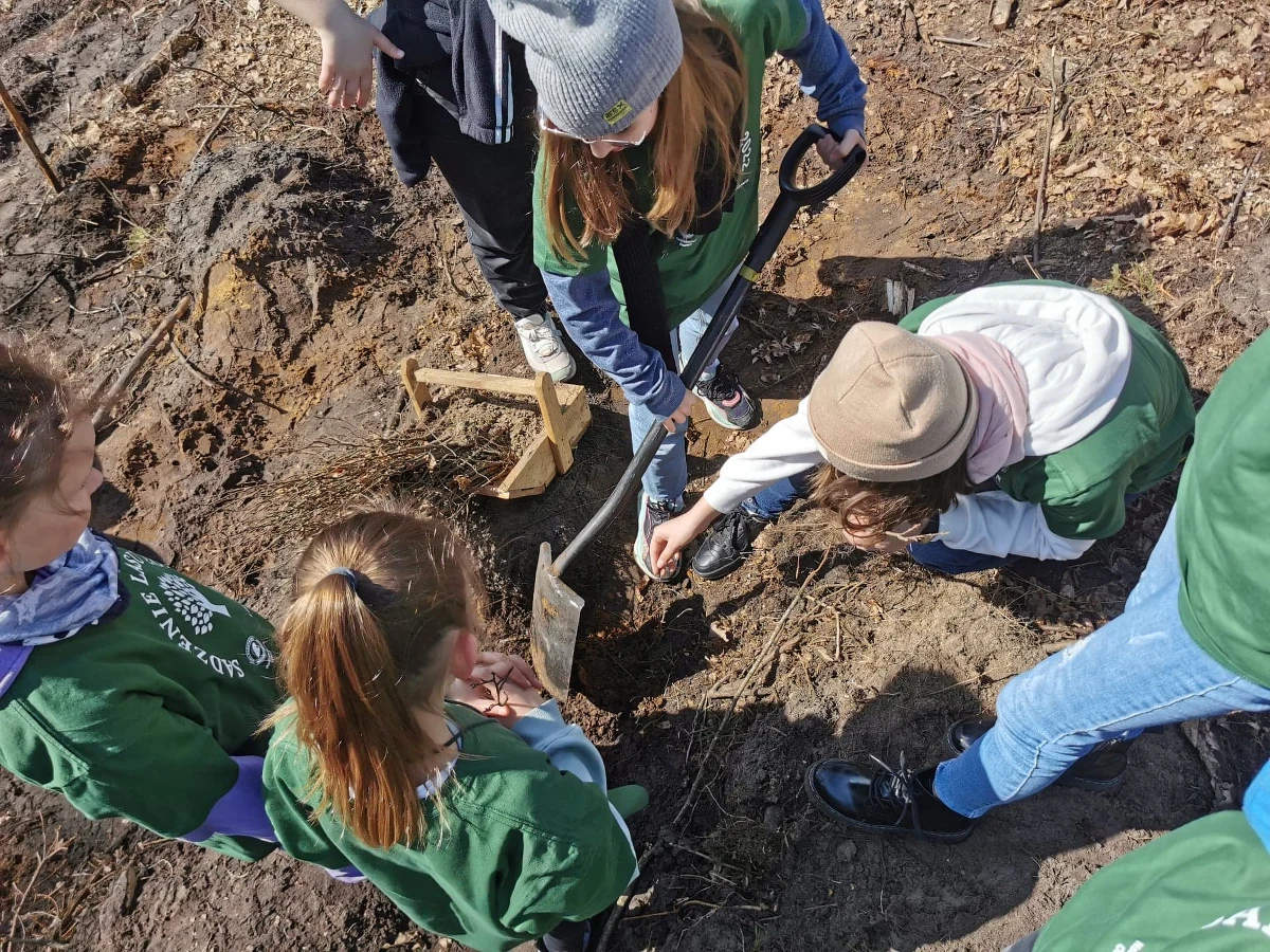 Kilkaset dzieci z Olsztyna i okolic wspólnie z uczniami z Ukrainy posadziły las. Młode drzewka zostały wkopane w przygotowane przez leśników miejsce przy krajowej "53" niedaleko osady Wojtkowizna. To z jednej strony budowanie wśród dzieci świadomości ochrony przyrody, z drugiej dobra integracja - mówią organizatorzy.