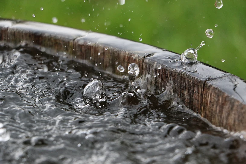 Rainwater Harvesting Can Save Hundreds of Zlotys a Year on Water Bills