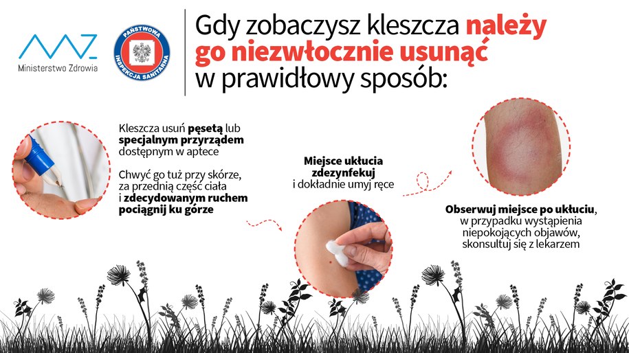 /Główny Inspektorat Sanitarny