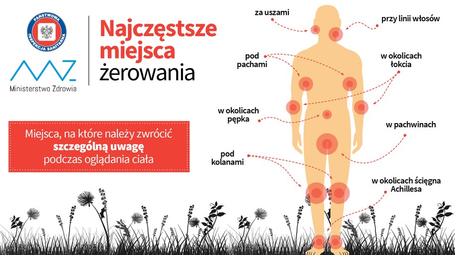 /Główny Inspektorat Sanitarny