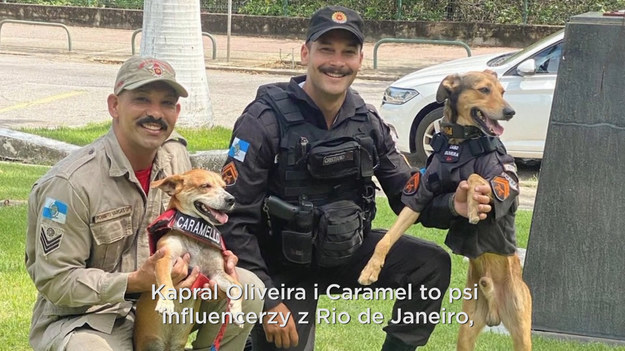 Jeden z nich został uratowany przez strażaków. Drugi przybłąkał się na komendę. Kapral Oliveira i Caramel to psi influencerzy z Rio de Janeiro, którzy razem ze swoimi opiekunami starają się choć odrobinę zmienić świat na lepsze.