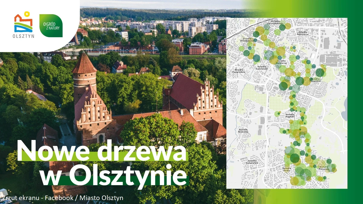 W najbliższych miesiącach w Olsztynie posadzonych zostanie ponad 2,8 tys. drzew. Nowe nasadzenia związane są z rozbudową tramwajowej trakcji i są rekompensatą wcześniejszej wycinki. Władze Olsztyna przekonują, że za każde usunięte wówczas drzewo, posadzone zostaną co najmniej dwa nowe.