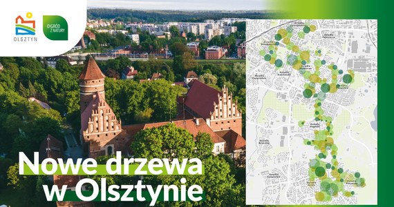 W najbliższych miesiącach w Olsztynie posadzonych zostanie ponad 2,8 tys. drzew. Nowe nasadzenia związane są z rozbudową tramwajowej trakcji i są rekompensatą wcześniejszej wycinki. Władze Olsztyna przekonują, że za każde usunięte wówczas drzewo, posadzone zostaną co najmniej dwa nowe.