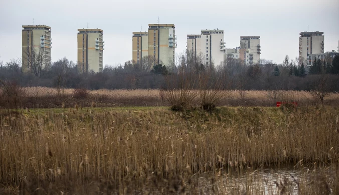 Zwłoki kobiety w Jeziorku Czerniakowskim  