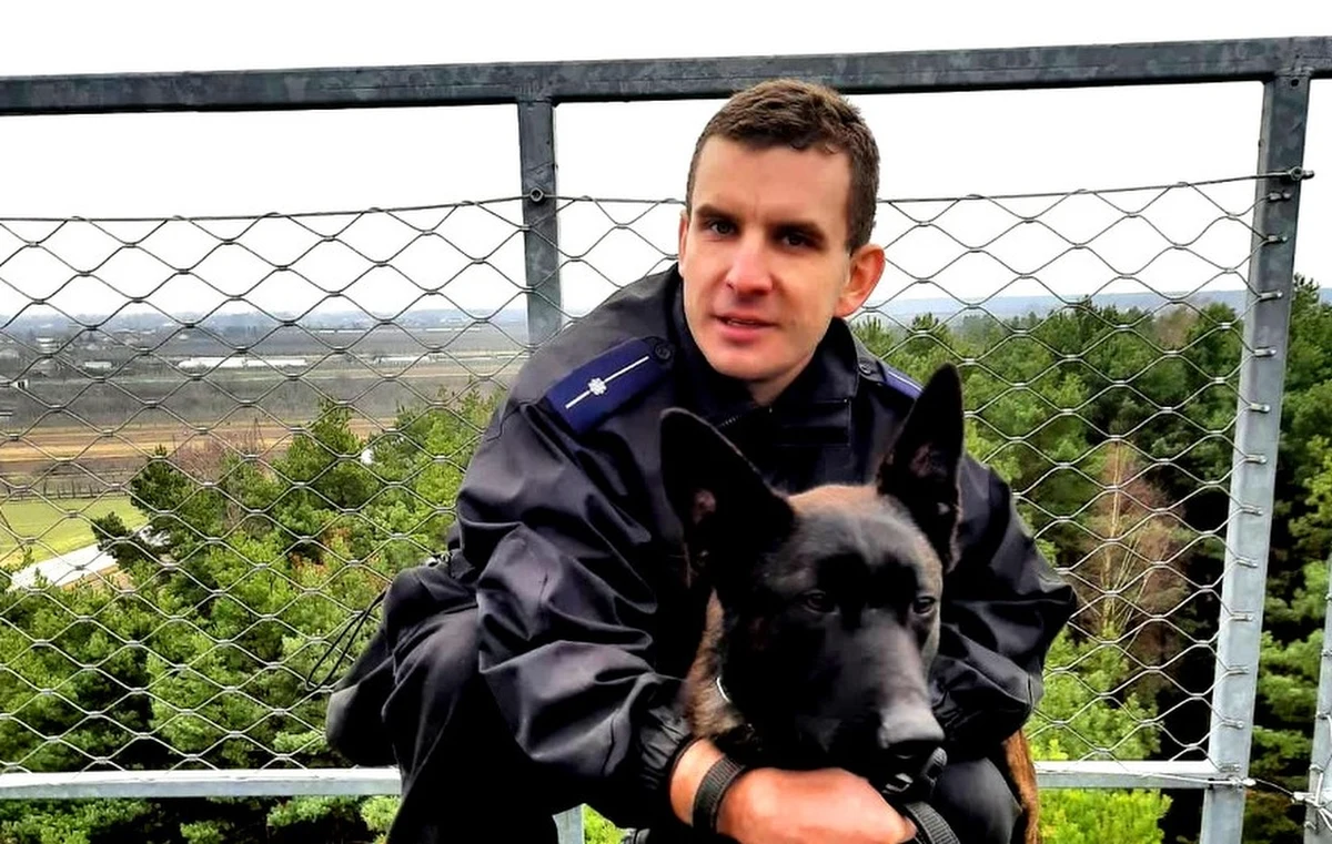 18-miesięczny Maks dołączył do załogi piotrkowskiej jednostki. Pies wraz ze swoim przewodnikiem, po ukończeniu specjalistycznego szkolenia pełni służbę na terenie miasta i powiatu.