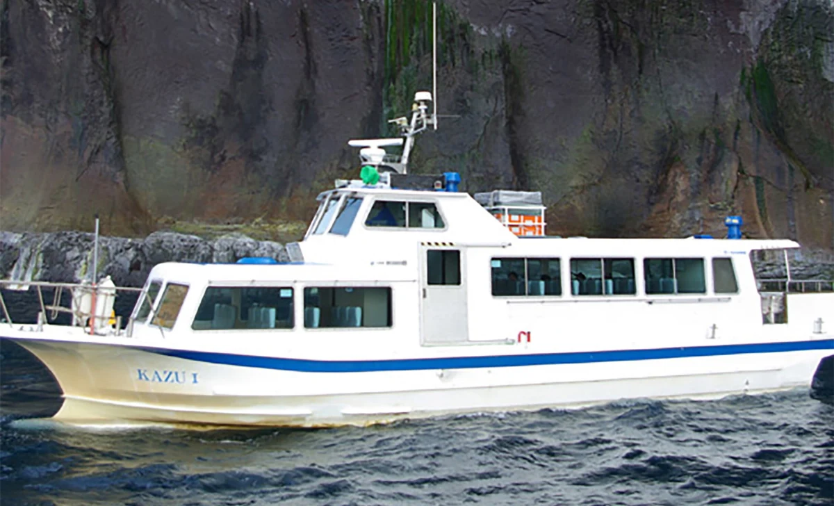 Znaleziono ciała 10 osób ze statku wycieczkowego, który zatonął w sobotę u północnych wybrzeży Japonii - podały dziś japońskie władze. Na pokładzie znajdowało się 26 osób, 16 na razie uznano za zaginione.