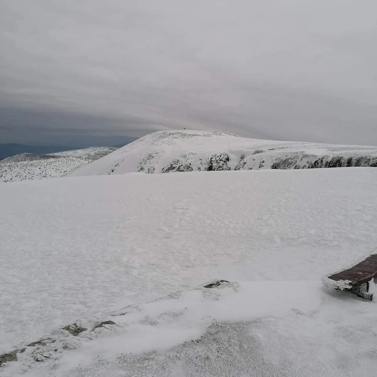 Niełatwe - jak na tę porę roku - warunki w Karkonoszach. Wysoko w górach jest bardzo ślisko, w dodatku może padać śnieg. Jak zakładają prognozy, na wysokości powyżej 1300 m n.p.m. może pojawić się około 10 centymetrów śniegu.

 