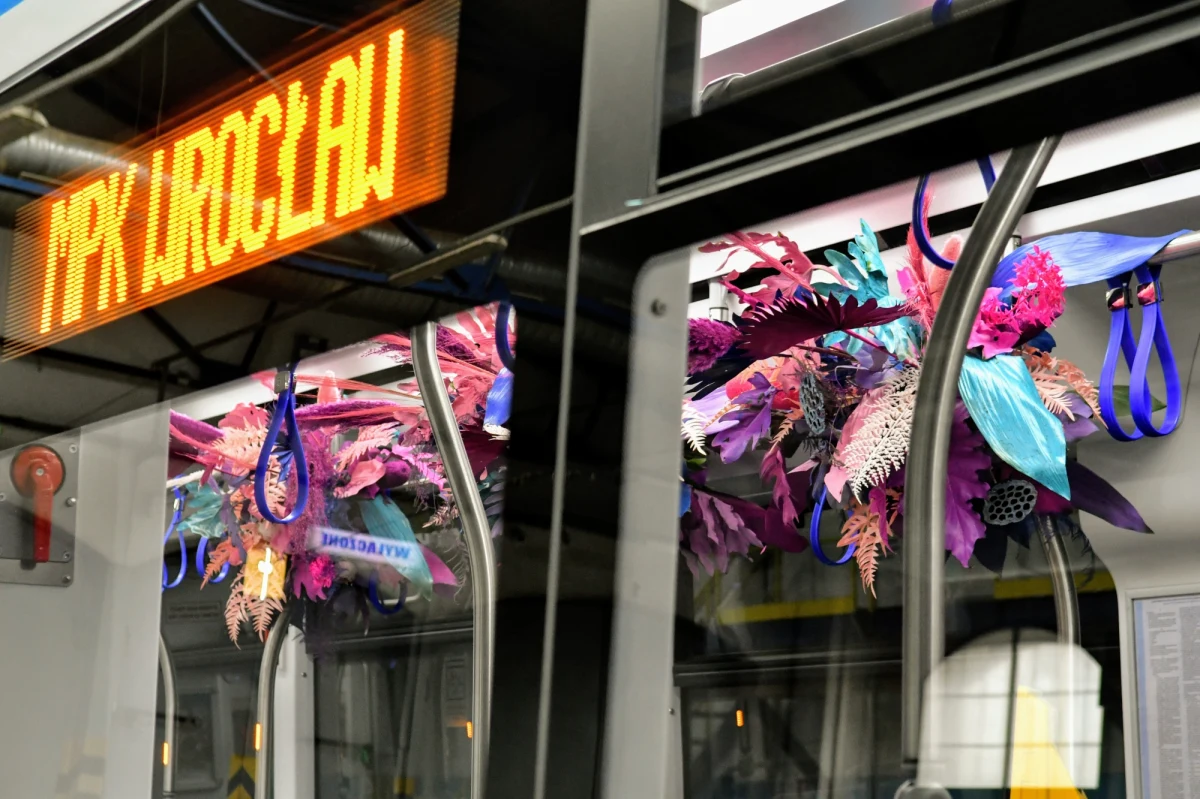 Wyjątkowy pojazd MPK Wrocław, ozdobiony egzotycznymi roślinami, w najbliższych dniach będzie kursował po wrocławskich torowiskach na trzech regularnych liniach tramwajowych. Promuje barwne wydarzenie, które co roku odwiedzają tysiące gości. To rozpoczynający się w sobotę XXXII Festiwal Kwiatów i Sztuki w Zamku Książ w Wałbrzychu.