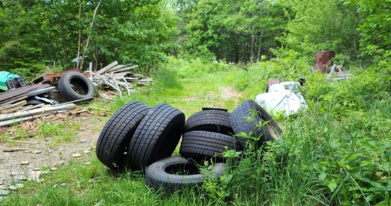 31 ton odpadów oraz 11 487 zużytych opon zebrano podczas miesięcznej ogólnopolskiej akcji Kręci nas recykling. W ramach tego samego projektu posadzono także 800 drzew.