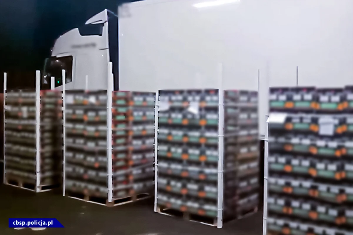 177 kg marihuany o wartości ponad 7 mln zł przejęło Centralne Biuro Śledcze Policji wraz z funkcjonariuszami Krajowej Administracji Skarbowej. Narkotyki były ukryte w transporcie pomarańczy z Hiszpanii do Polski.
