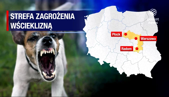 "Wydarzenia": "Brak szczepionki oznacza śmierć". Wścieklizna na terenie Mazowsza