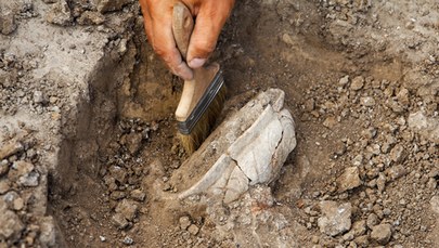 Niezwykłe odkrycie polskich archeologów w Egipcie