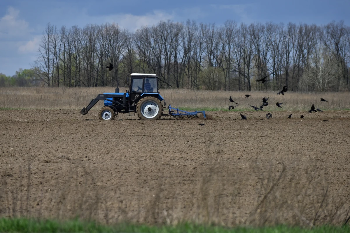 Rosja planuje wywóz żywności z okupowanych terenów Ukrainy, by uzupełnić w ten sposób niedobory na półkach w rosyjskich sklepach. Według strony ukraińskiej ten proceder już trwa. "Spadkobiercy architektów Wielkiego Głodu z lat trzydziestych próbują po raz kolejny zorganizować ludobójstwo narodu ukraińskiego" - alarmuje ukraińska rzeczniczka praw człowieka Ludmyła Denisowa.