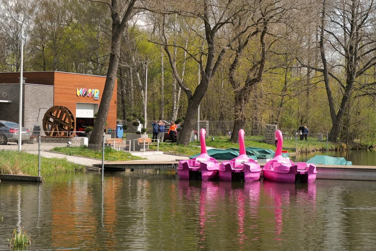 Polowanie na ćmy, warsztaty z szermierki, a może przejażdżka koleją linową? Taki wybór mają mieszkańcy województwa łódzkiego w czasie tegorocznej majówki. Dla każdego będzie coś interesującego.