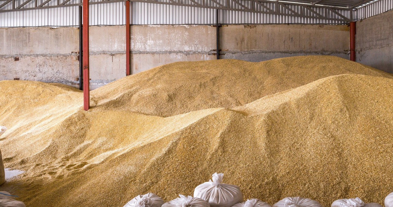 Polska utrzymuje embargo na zboże z Ukrainy. Resort rolnictwa potwierdza