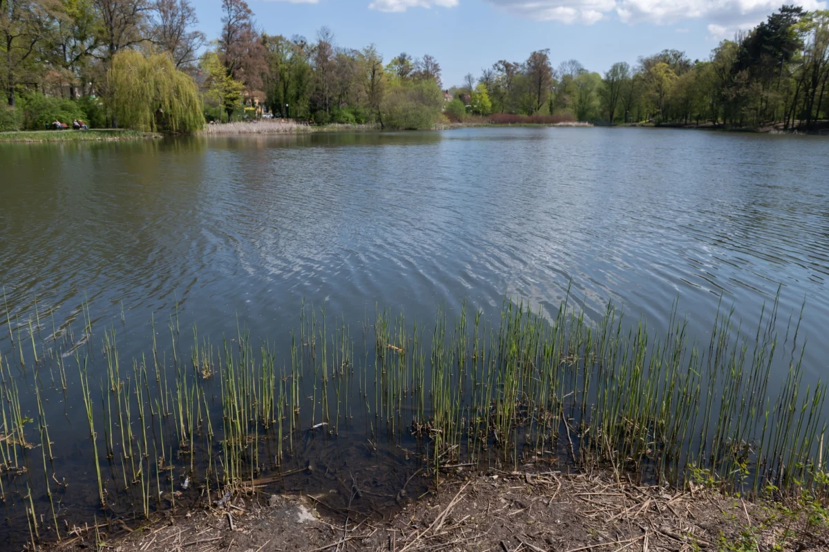 Niedziela - początkowo - w większości regionów zapowiada się dość pogodnie i ciepło. Na Dolnym Śląsku miejscami termometry pokażą do 21 stopni C. Na Wybrzeżu najwyżej 11, 12 stopni C. W ciągu dnia możliwy wzost zachmurzenia i deszcz. 