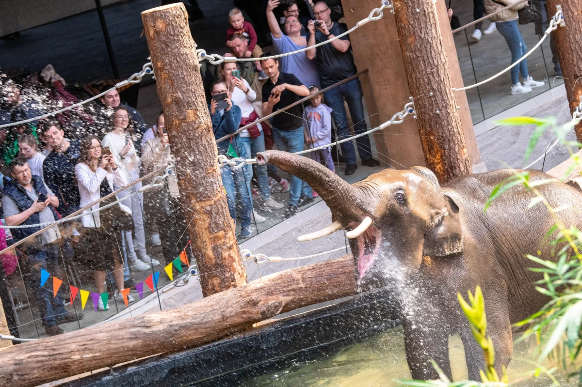​Rekordowy weekend otwarcia odnotował największy w Europie kompleks prezentujący faunę i florę Azji południowo-wschodniej  - Orientarium w Ogrodzie Zoologicznym w Łodzi. W piątek, sobotę i niedzielę odwiedziło go 30 tys. osób.