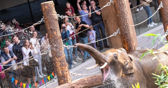 ​Rekordowy weekend otwarcia odnotował największy w Europie kompleks prezentujący faunę i florę Azji południowo-wschodniej  - Orientarium w Ogrodzie Zoologicznym w Łodzi. W piątek, sobotę i niedzielę odwiedziło go 30 tys. osób.