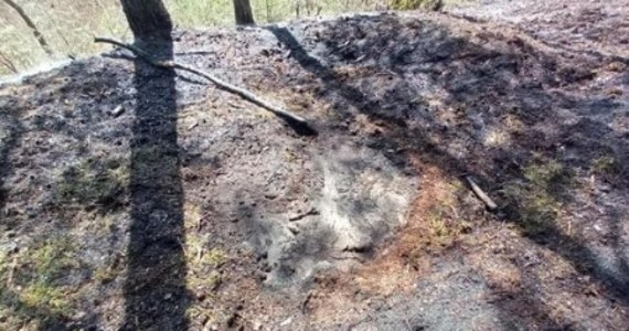 Leśnicy z nadleśnictwa Elbląg informują o pożarach, jakie w ostatnich dniach gaszą strażacy na Mierzei Wiślanej. Do pojawienia się ognia przyczyniają się osoby, które palą w lesie ogniska. 