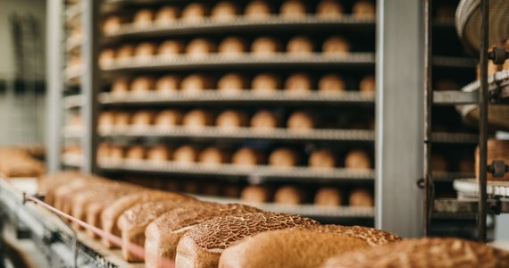 Darmowe pieczywo dla uchodźców oferuje jedna z najstarszych piekarni w Radomiu. Potrzebujący mogą dostać specjalne karty, a po ich okazaniu otrzymują chleb i bułki w Piekarni F&F.