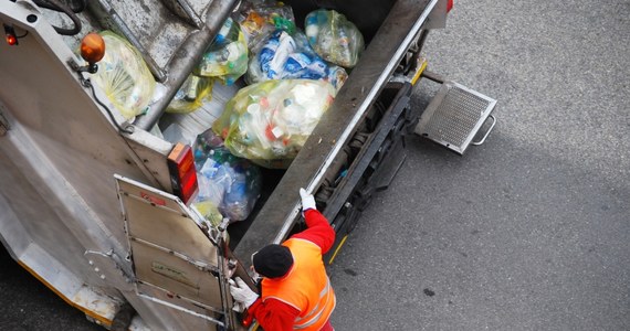 10 ton śmieci wywieźli pracownicy lasów miejskich w Szczecinie po majówce. Na polanach, na których mieszkańcy Szczecina mogli rozpalić grilla lub ognisko zostały - dosłownie - góry odpadków. 10 ton to tyle, co ważą dwa słonie.