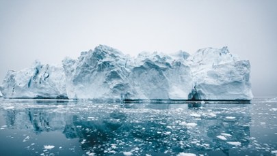 Niezwykłe odkrycie na Antarktydzie. Może mieć znaczenie dla klimatu
