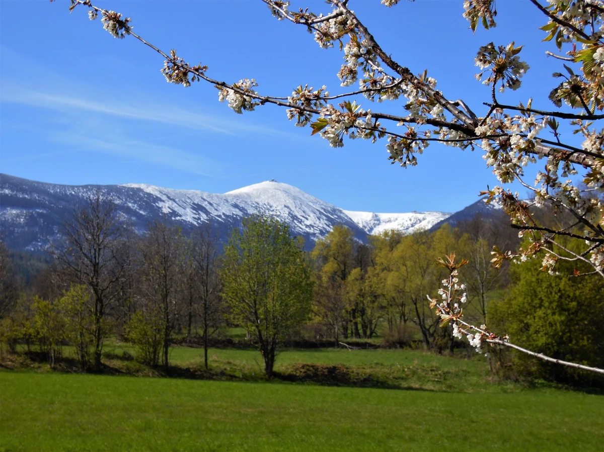 ​W ten weekend w Karkonoszach zapowiada się dobra pogoda do górskich wędrówek. Trzeb być jednak przygotowanym - podkreślają goprowcy. Może być burzowo, a wysoko w górach nadal jest śnieg.