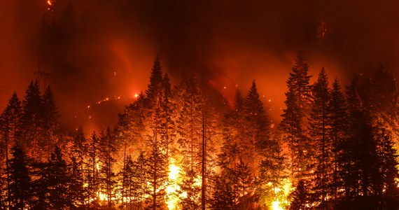W syberyjskim regionie Krasnojarsk w wyniku groźnych pożarów lasów śmierć poniosło co najmniej dziesięć osób, a 19 zostało rannych. Ze względu na intensywność żywiołu w regionie Krasnojarsk ogłoszono stan wyjątkowy.
