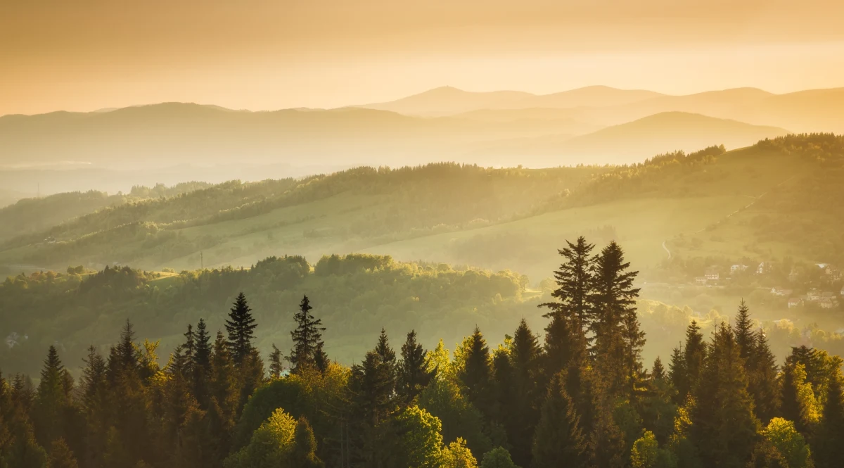 Jeśli wybieracie się na wędrówkę w Beskidy, ostrzegamy - w górach panują trudne warunki. Pada deszcz a widoczność jest mocno ograniczona. 