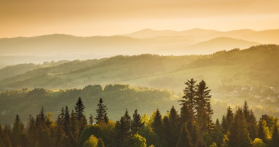 Jeśli wybieracie się na wędrówkę w Beskidy, ostrzegamy - w górach panują trudne warunki. Pada deszcz a widoczność jest mocno ograniczona. 