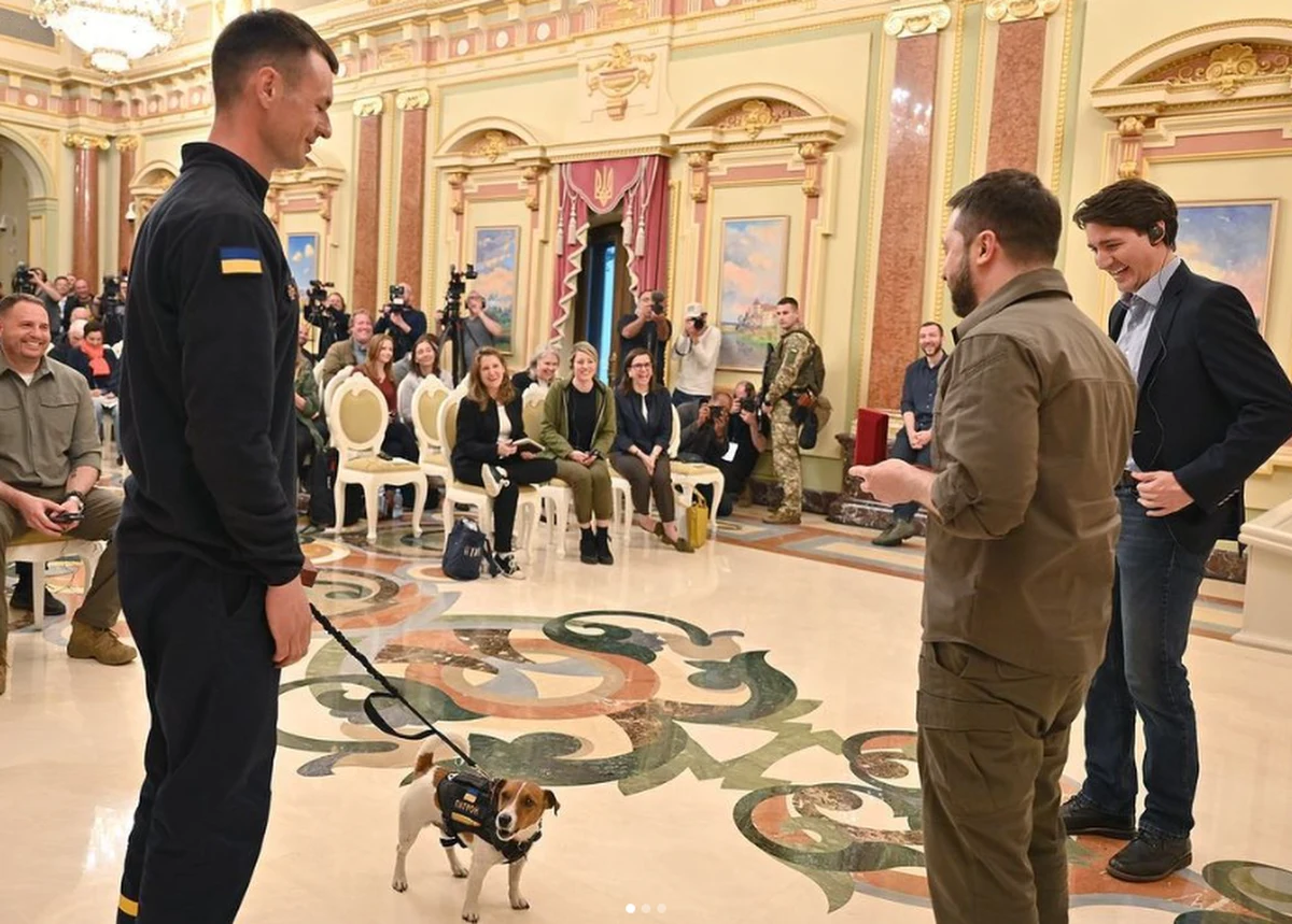 Patron - pies, który razem z pirotechnikami z Czernihowa oczyszcza teren z pozostawionych przez Rosjan ładunków wybuchowych, został doceniony przez prezydenta Ukrainy Wołodymyra Zełenskiego. W Pałacu Maryńskim w Kijowie czworonożny saper i jego opiekun zostali nagrodzeni medalem za ofiarną służbę. 