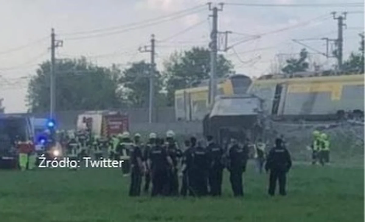 Pociąg wykoleił się w rejonie Moedling w Dolnej Austrii. Są dwie ofiary śmiertelne, a 15 osób zostało rannych – informuje portal dziennika „Kronen Zeitung”.