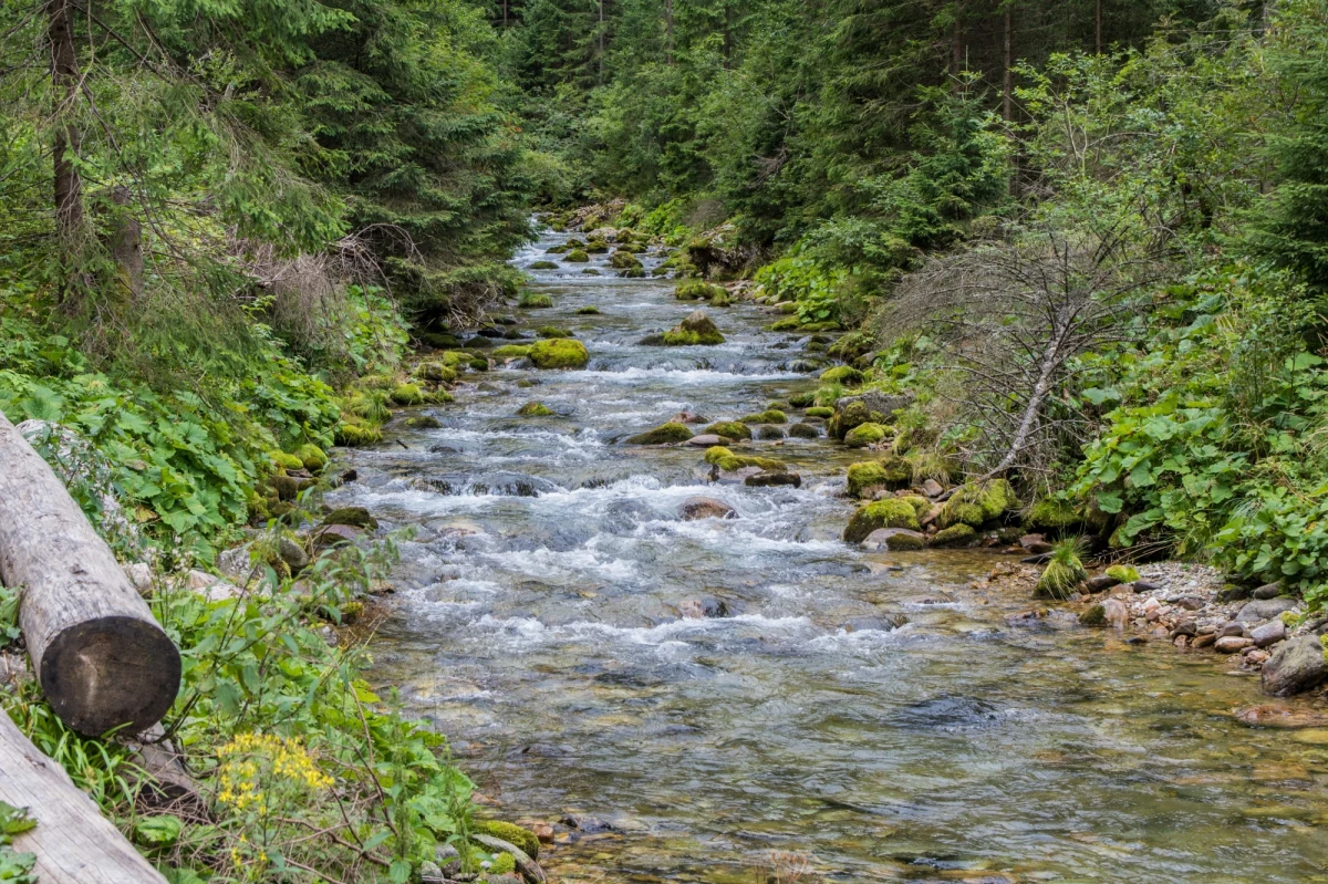 Dzisiaj (10 maja) w Kościelisku rozpoczyna się akcja "Dbamy-sprzątamy". Mieszkańcy i urzędnicy będą wspólnie zbierać śmieci by gmina była ładniejsza. Wielkie sprzątanie potrwa do 20 maja. 