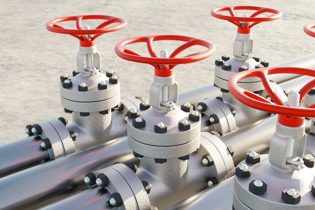 Słowacja już odczuwa problemy z przesyłem gazu przez Ukrainę. Ukraiński operator sieci przesyłowej GTS wczoraj poinformował, że nie ma już kontroli nad stacją Sohranowka, w związku z tym blisko jedna trzecia rosyjskiego gazu płynącego przez Ukrainę zostanie odcięta. 