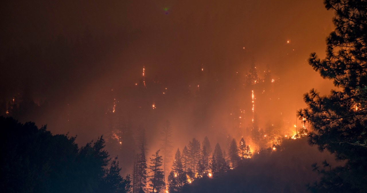 Więcej pożarów niż przez ostatnie 3000 lat. Odkryli przyczynę