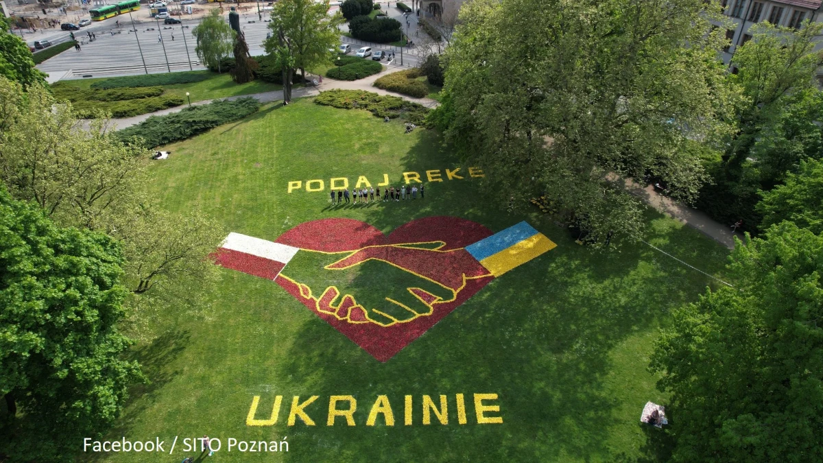 Ogromne serce, w którym krzyżują się dłonie dwóch osób oraz flaga Polski i Ukrainy, całość wieńczy napis "Podaj rękę Ukrainie" - tak wygląda dywan kwiatowy, który powstał w centrum Poznania. Do jego wykonania użyto ponad 150 tysięcy tulipanów.